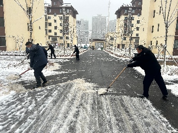 【長田動態(tài)】初雪至，暖意行！長田實業(yè)全力清雪保安全暢通
